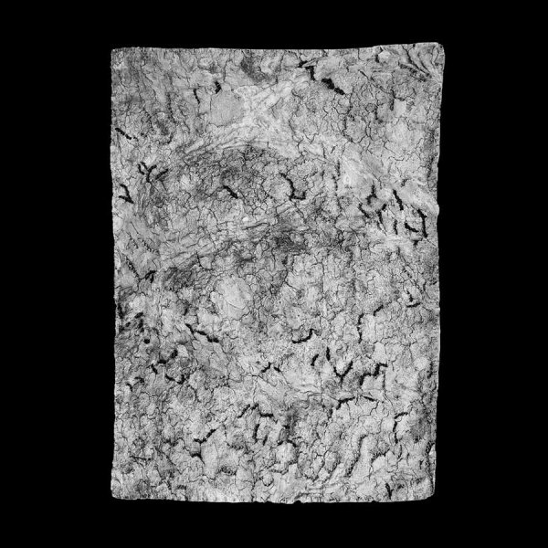 Angela Deuber Architects ADA ADAx ADAxLL Laurie Lambrecht Art Artist Bark Cloth