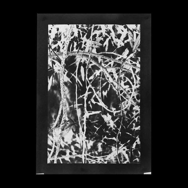 Angela Deuber Architects ADA ADAx ADAxLL Laurie Lambrecht Art Artist Jungle Blues