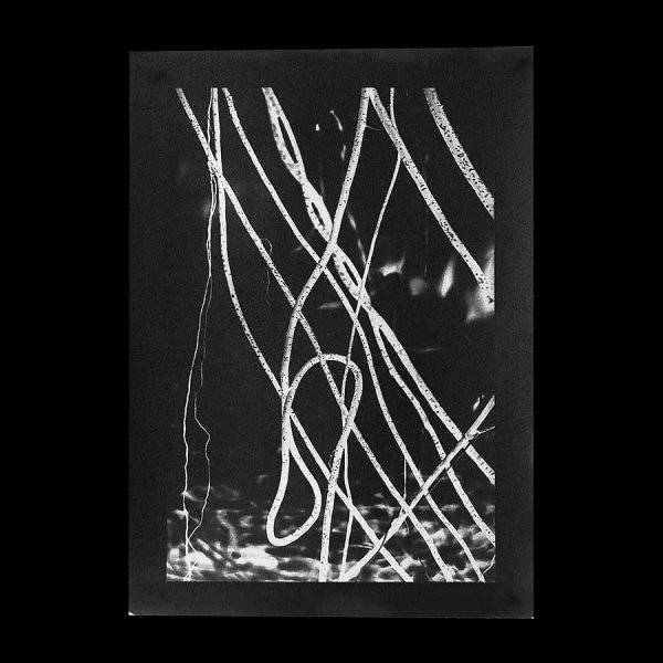 Angela Deuber Architects ADA ADAx ADAxLL Laurie Lambrecht Art Artist Jungle Blues
